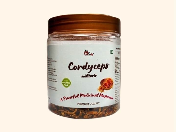 Dried Cordyceps
